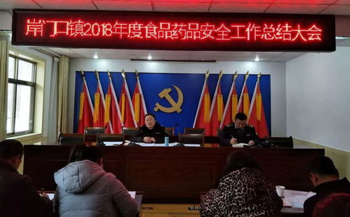 守護舌尖安全，岸門口鎮召開2021年度食品藥品安全監管工作總結大會